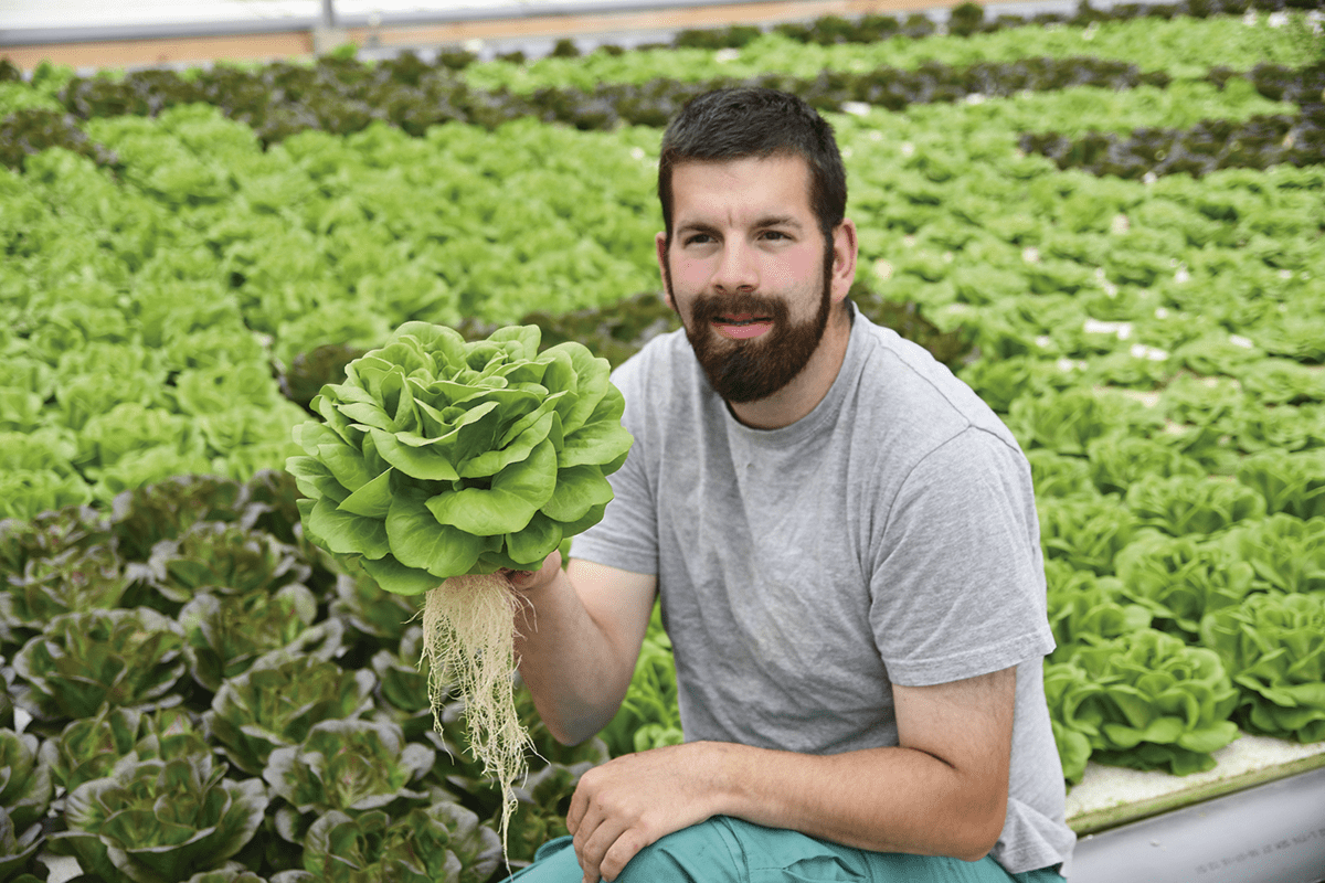 Una persona con una lechuga